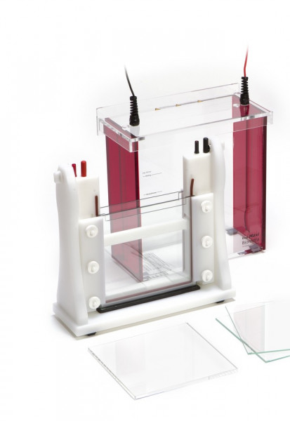 Analytik Jena BLOT-MODULE, 2 BLOT, ECO-MAXI Blot Module Tankblot Eco-Maxi, for 2 Gels