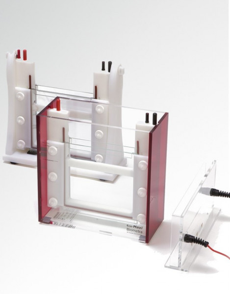 Analytik Jena Eco-Maxi System EB für 2 Gele (1,0 mm Geldicke)