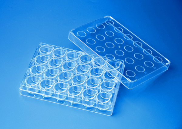 BRANDplates® for Inserts 24-well with lid cellGrade™ plus, packaged individually, BIO-CERT® CELL CULTURE STERILE