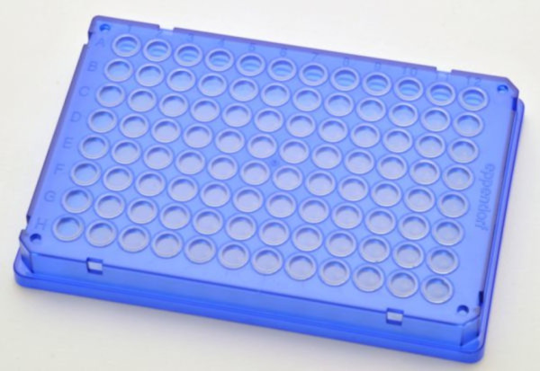 Eppendorf twin.tec® PCR Plate 96, skirted, 150 µL, PCR clean, blue, 300 plates