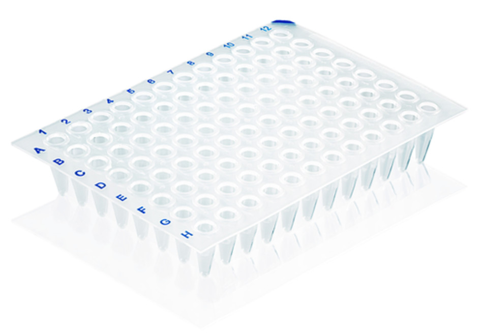 pcr stands for pcr stands for