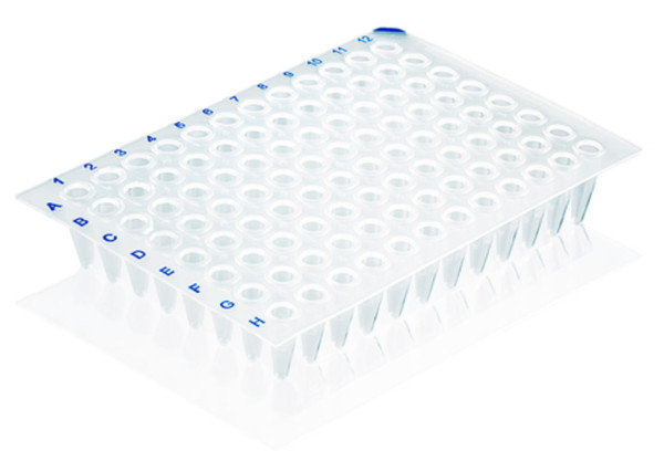 BRAND 96-well PCR plate, non-skirted, elevated rim, white, PP, BIO-CERT® PCR QUALITY