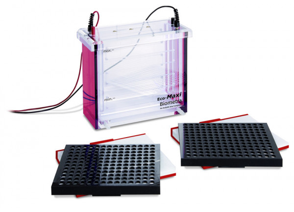 Analytik Jena Tankblot Eco-Maxi system EB for 2 maxi gels