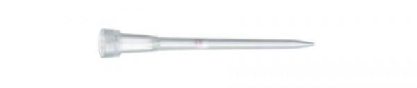 Eppendorf epDualf.TIPS SealMax (IVD), PCR clean/sterile, 0,1-10µL S, 34 mm, hellgrau, 960T