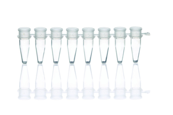 BRAND PCR tubes and caps, strips of 8, PP, BIO-CERT® PCR QUALITY, flat caps, for qPCR