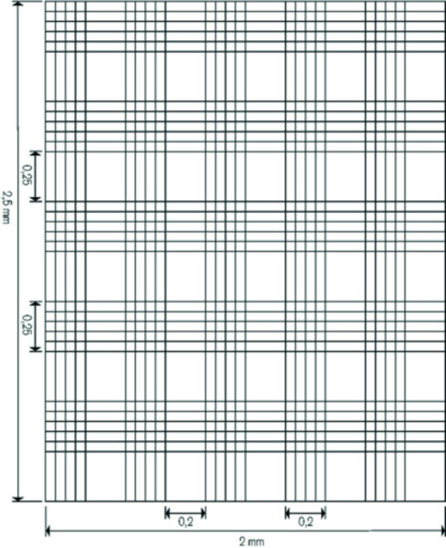 BRAND Counting chamber BLAUBRAND® Malassez pattern, w/o clips double ruling