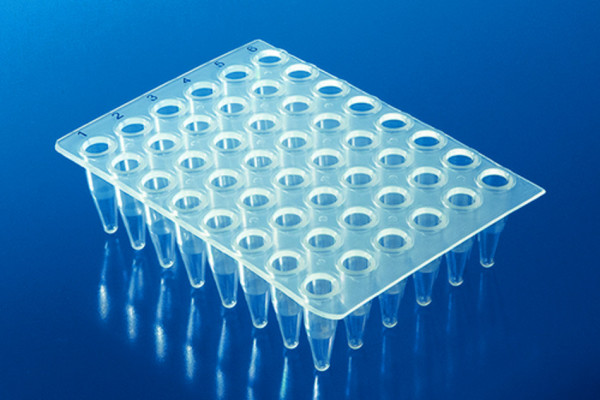BRAND 48-well PCR-plates, non-skirted, PP, white, 0.2 ml, for qPCR, BIO-CERT® PCR QUALITY