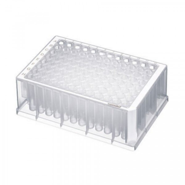 Eppendorf 80 DWPs 96x1000µl white, sterile