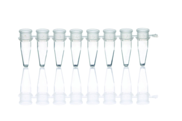 BRAND PCR tubes, strips of 8, white, with attached, flat single caps, 3 ridges, 0.15 ml, low profile, BIO-CERT® PCR QUALITY