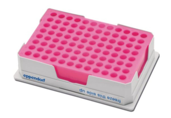 Eppendorf PCR-Cooler 0.2 mL, rosa