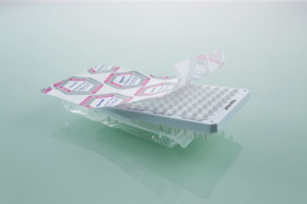 Eppendorf twin.tec 96 real-time PCR Plates, skirted, 150 µL, Forensic DNA Grade, weiß, Wells weiß, 1