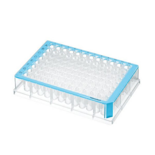 Eppendorf Deepwell Plate 96/500 µL, wells clear, 500 µL, PCR clean, blue, 40 plates