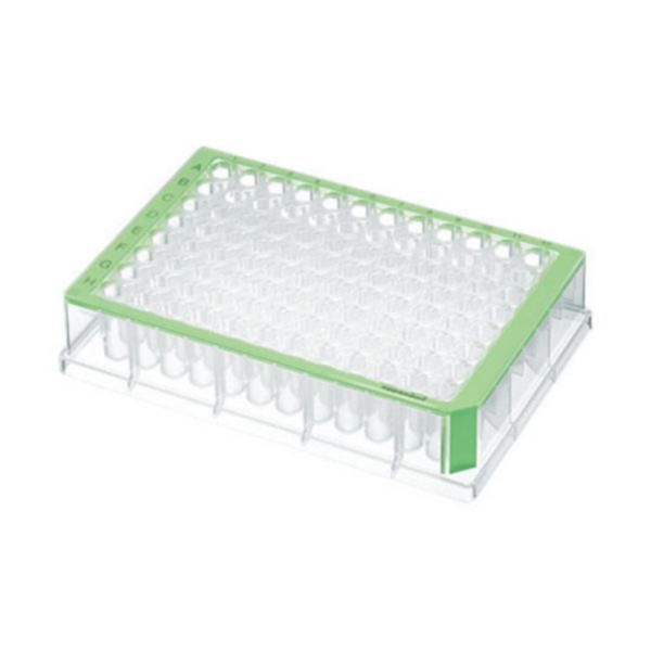 Eppendorf Deepwell Plate 96/500 µL, wells clear, 500 µL, PCR clean, green, 40 plates