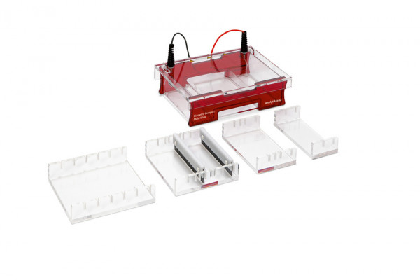 Analytik Jena Biometra Compact Multi-Wide System for gel size 15 cm x 7/10/15/18 cm