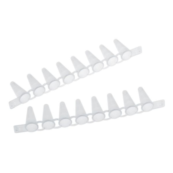 Eppendorf PCR Tube Strips, 0,1 mL, PCR clean, without lids (10 × 12 strips)