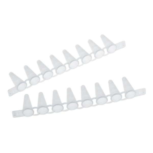 Eppendorf PCR Tube Strips, 0,1 mL, PCR clean, ohne Deckel (10 × 12 Streifen)