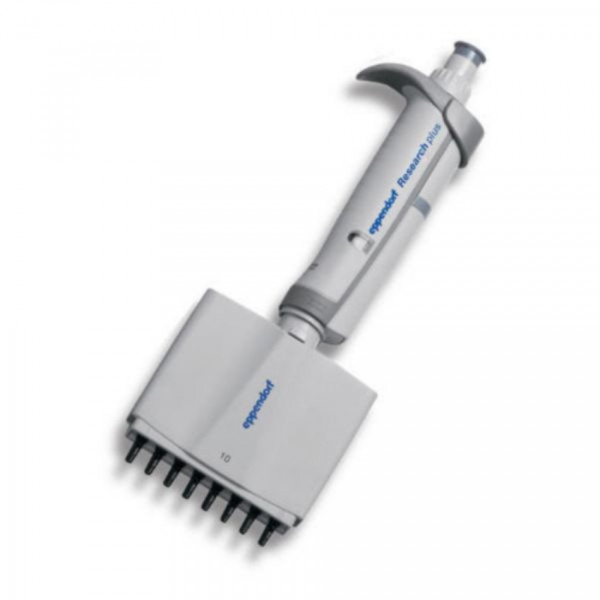 Eppendorf Research® plus (EU-IVD), 8-Kanal, variabel, 0,5 10 µL, mittelgrau