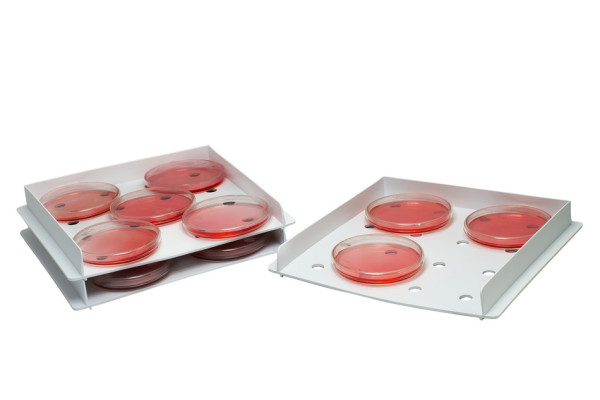 SP Bel-Art Stackable Petri Dish Incubation Tray;Plastic, 9? x 95/16 x 1? in. (Pack of 3)