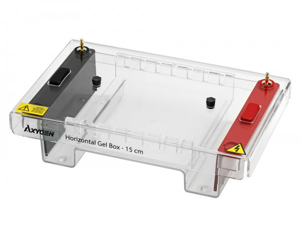 Axygen® Horizontal Gel Box, 10 cm