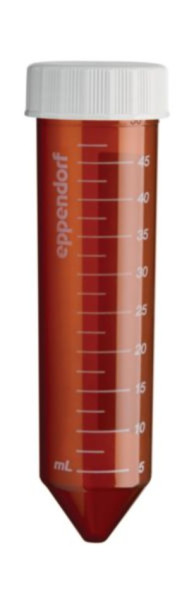Eppendorf Conical Tubes, 50 mL, sterile, pyrogen-, DNase-, RNase- und DNA-frei, ambra (Lichtschutz),
