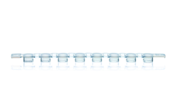 BRAND 8x cap strips, domed, PP, BIO-CERT® PCR QUALITY, transparent