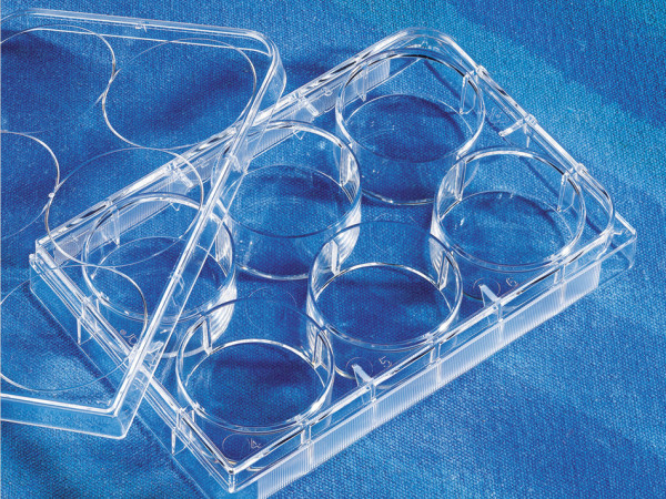 Corning® CellBIND® 24-well Clear Multiple Well Plates, Flat Bottom, with Lid, Sterile