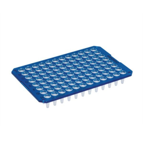 Eppendorf twin.tec PCR Plate 96, unskirted, 150 µL, PCR clean, blau, 20 Platten