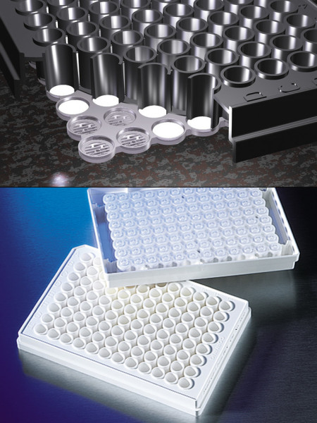 Corning® FiltrEX™ 96-well White Filter Plates with 0.25 mm Thick Glass Fiber Filter, Nonsterile