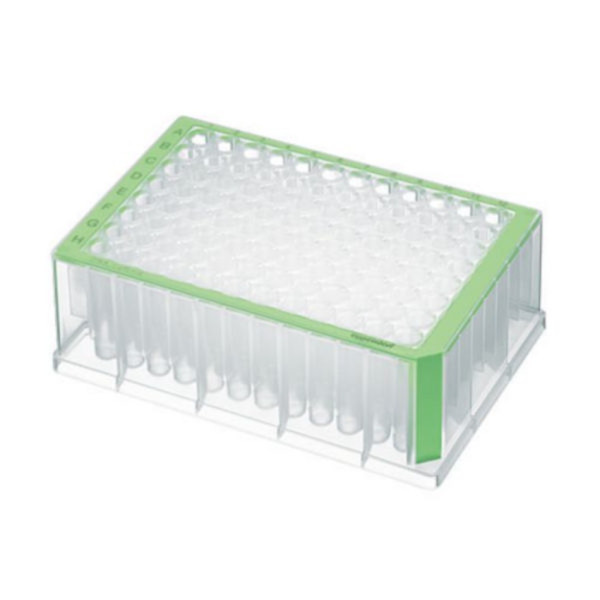 Eppendorf Deepwell Plate 96/1000 µL, wells clear, 1.000 µL, PCR clean, green, 20 plates