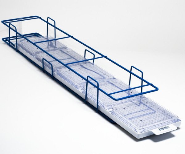 SP Bel-Art Modular Ultra-Low Freezer Rack with