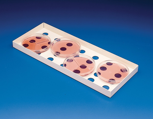 SP Bel-Art Petri Dish Incubation Tray; 13¾ x 5? x? in., Steel