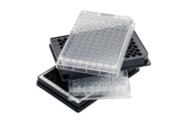 Eppendorf Microplate VIS 96/F, Wells klar, PCR clean, farblos, 40Platten