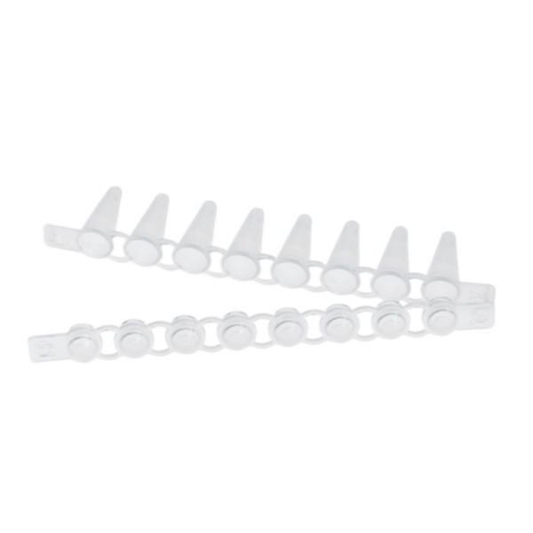 Eppendorf PCR Tube Strips, 0,1 mL, PCR clean, with Cap Strips, domed (10 × 12 strips)