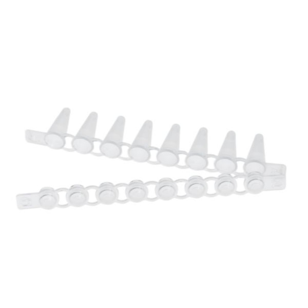 Eppendorf PCR Tube Strips, 0,1 mL, PCR clean, mit Deckelstreifen, gewölbt (10 × 12 Streifen)