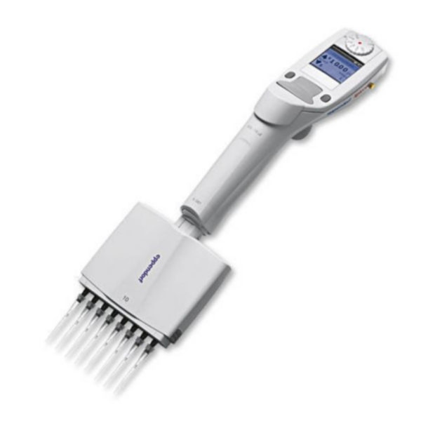 Eppendorf Xplorer®, 8-Kanal, variabel, 0,5  10 µL, mittelgrau