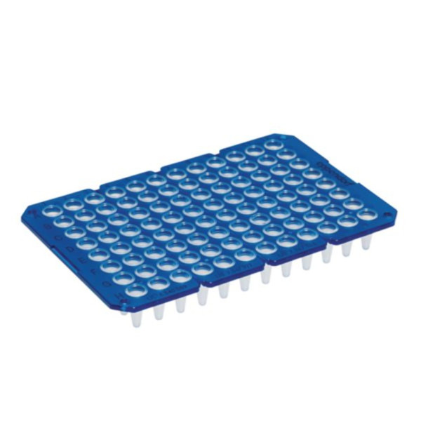 Eppendorf twin.tec PCR Plate 96, unskirted, teilbar, 150 µL, PCR clean, blau, 20 Platten