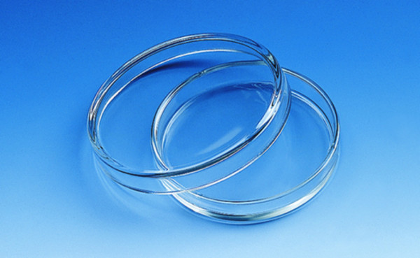BRAND Petri dish, soda-lime glass, lid diameter 150 mm, height of dish 25 mm