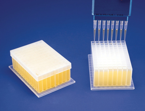 SP Bel-Art Deep-Well Plate; Sterile, 96 Places, 2ml, Plastic, 5 x 3? x 1? in. (Pack of 24)