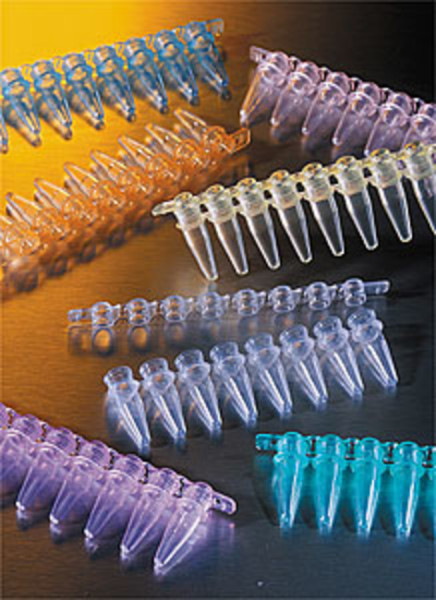 Corning® Thermowell GOLD PCR 1 x 8 Cap Strips, Domed, Assorted Colors