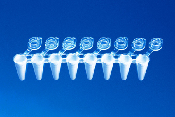BRAND PCR tubes, strips of 8, transparent, with attached, flat single caps, 3 ridges, 0.2 ml, standard profile, BIO-CERT® PCR QUALITY