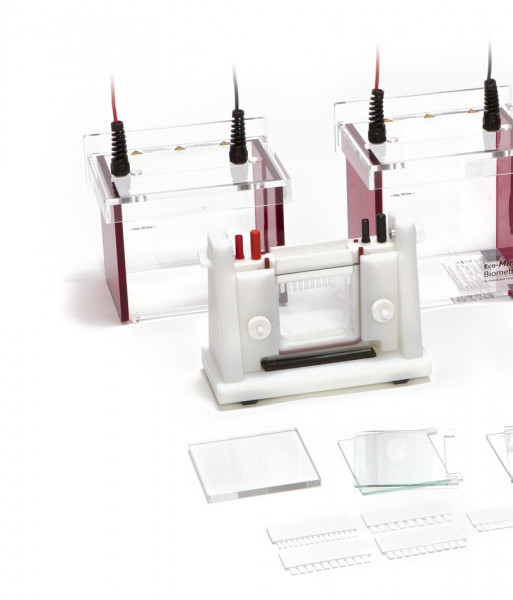 Analytik Jena Blot module, Tankblot Eco-MIni for 4 Mini-gels