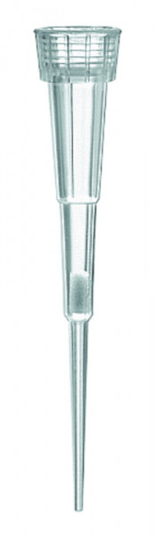 BRAND Filterspitzen, lose, 0,1-1 µl, PP/PE-Filter, IVD, farblos